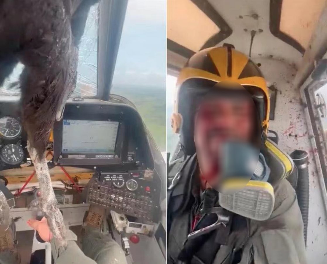 #TopCGTN Un pilote équatorien ensanglanté garde son calme après qu'un oiseau géant a percuté le cockpit. (Photo : Twitter) @CGTNFrancais twitter.com/CGTNFrancais/s…