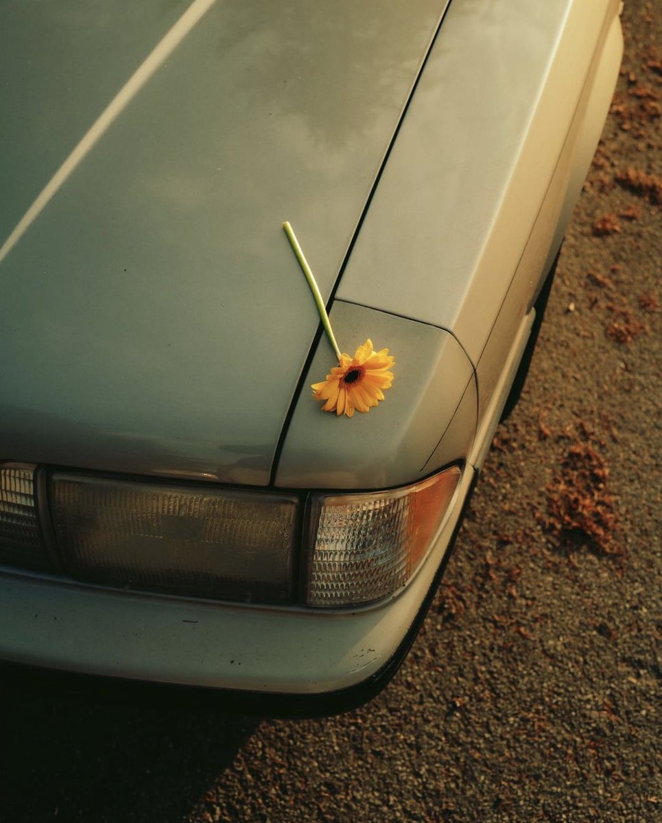 LEICA MAG tweet media