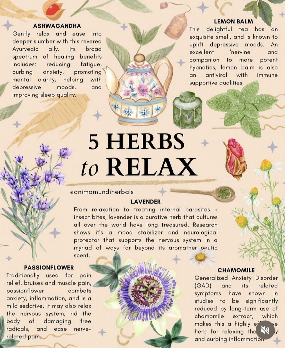 #floralfridayherbsandplants #floralfriday #herbsandplants #relax #herbstorelax #ashwagandha #lemonbalm #lavender #passionflower #chamomile #witch #witchy #witchyvibes #witchesoftwitter #solitarywitch #sorcerersstoners