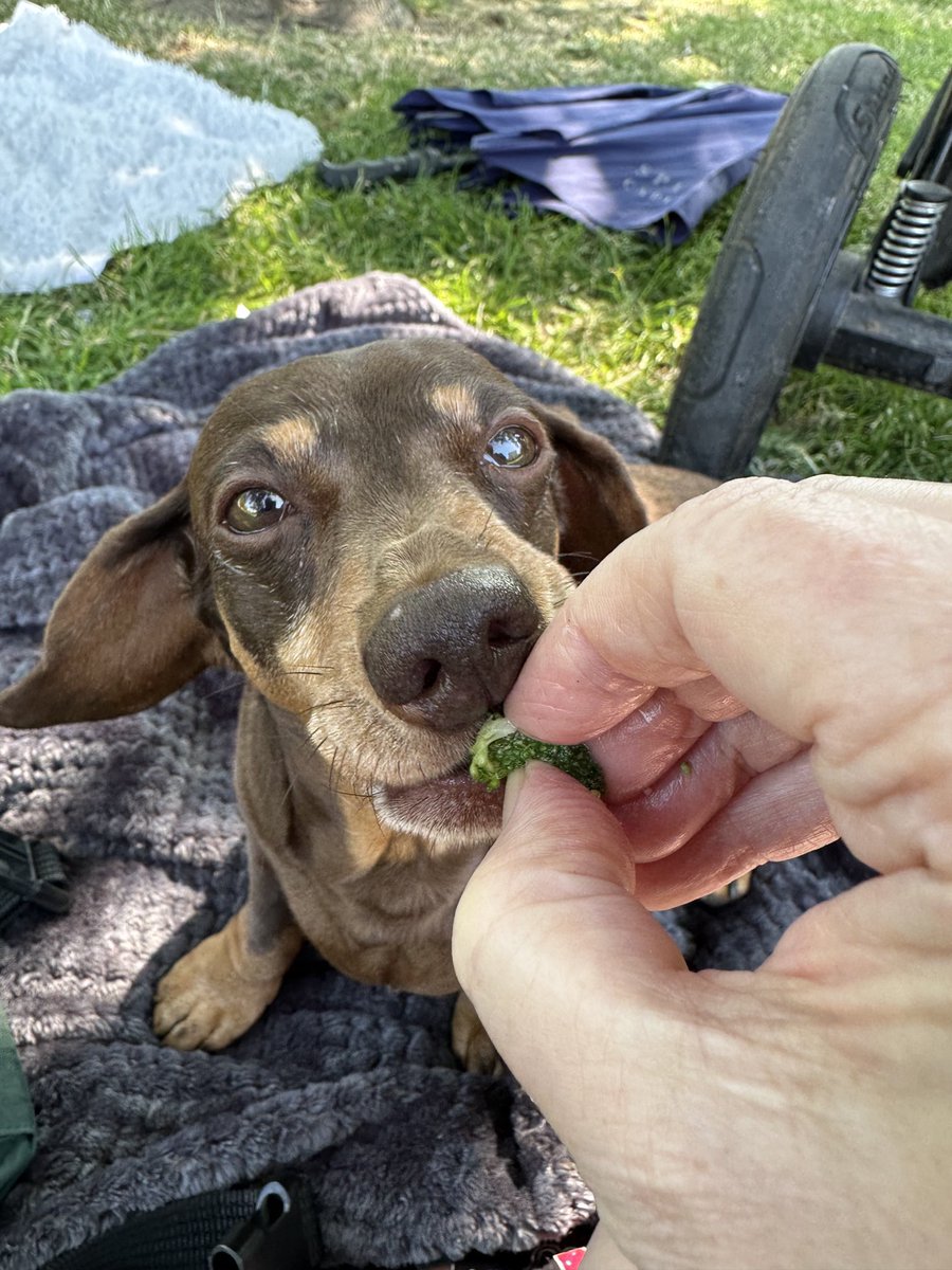 Janey Godley tweet media