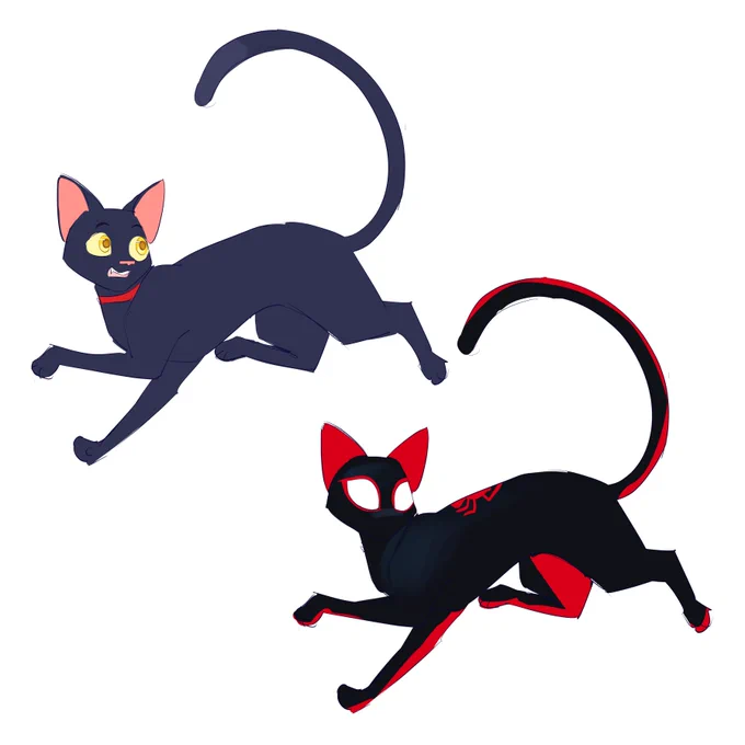 the ultimate spider-cat meows morales!!!