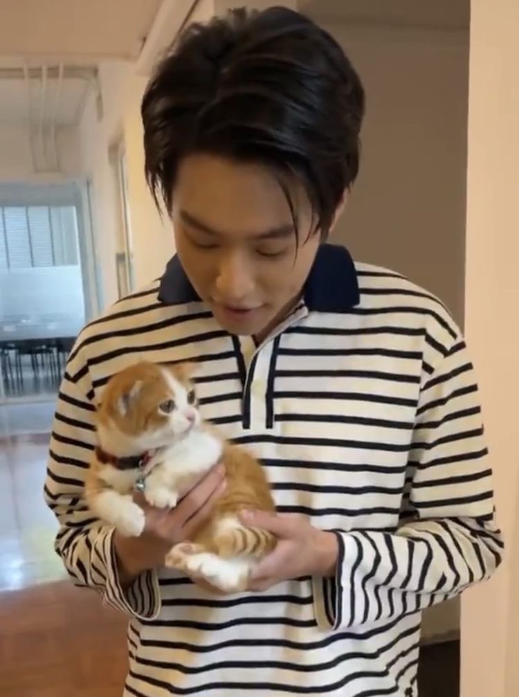 nov diary tweet media