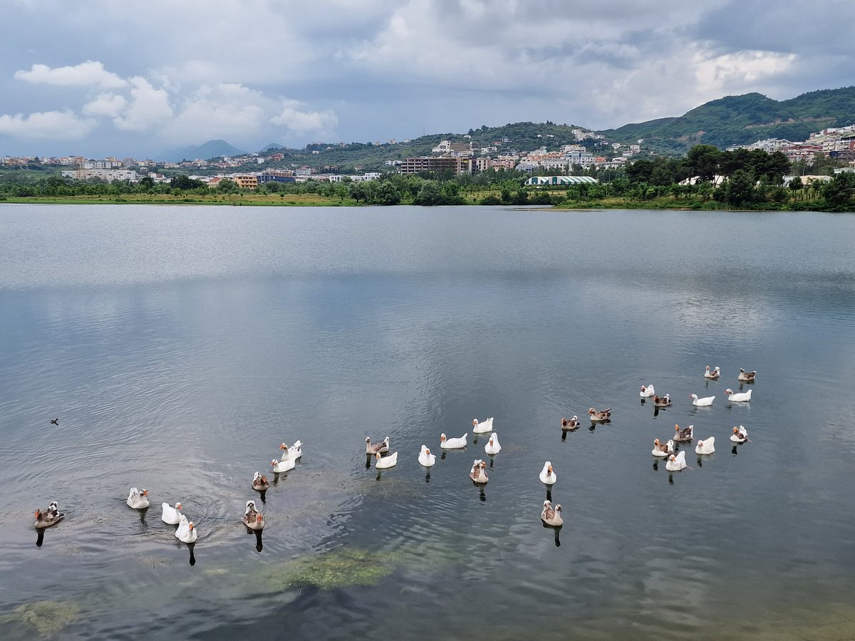 Tadeja Kuhar tweet media