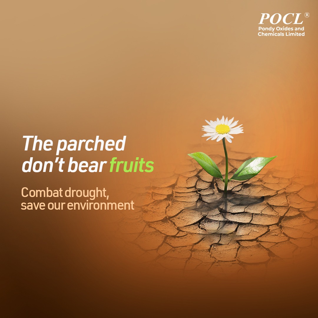 poclofficial's tweet photo. Join the global movement to combat #desertification and #drought on World Day, as we work together to restore our lands, conserve water, and ensure a #sustainablefuture for all. Together, let's protect our planet and safeguard the precious resource of water.
#POCL https://t.co/yeBF4AaPS9