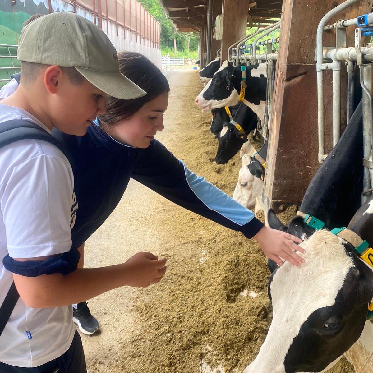 Col·legi Cami tweet media