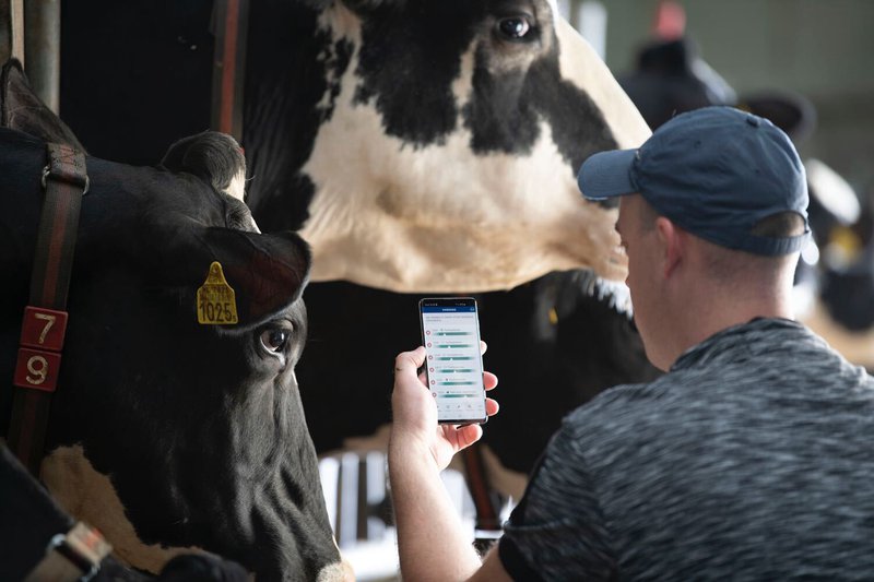 Ruim 30.000 banen in de landbouwketen staan op de tocht als boeren worden uitgekocht. Dat zorgt voor massawerkeloosheid in regio’s. CNV dringt bij het kabinet aan op een transitieplan in de landbouwsector, met oog voor het werknemersperspectief. Check: ap.lc/GJlpg