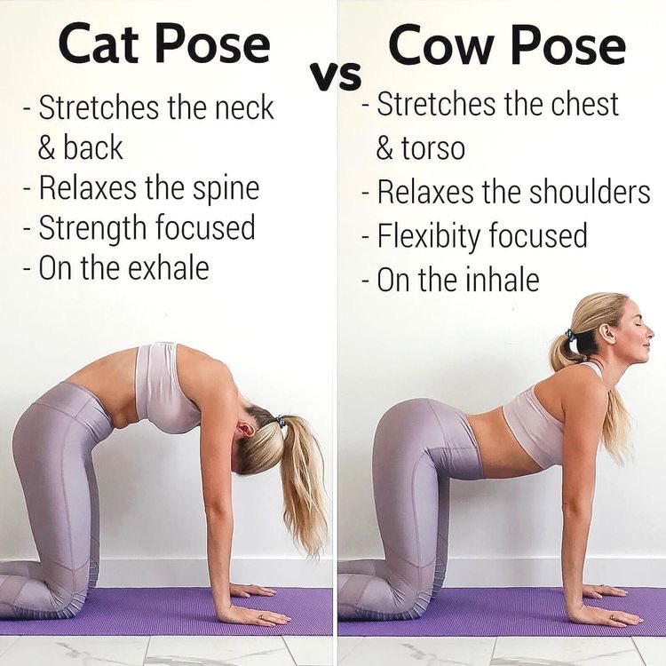 How to Do a Cat Cow Pose for Energy | Yoga - YouTube