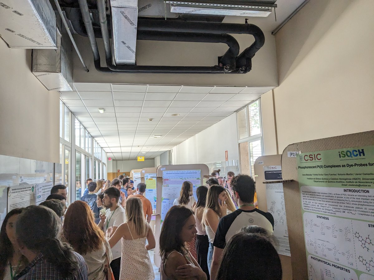 ISQCH's tweet photo. Enjoying the great scientific discussion in the poster session of the II Symposium on Molecular Chemistry and Catalysis! Thank you for all the sponsors who made this day possible! @rseq_aragon @scharlabsl #DASIT Group @ErbaReagents #Bar London
@AragonCsic @Ciencias_Unizar https://t.co/yg29UuG823