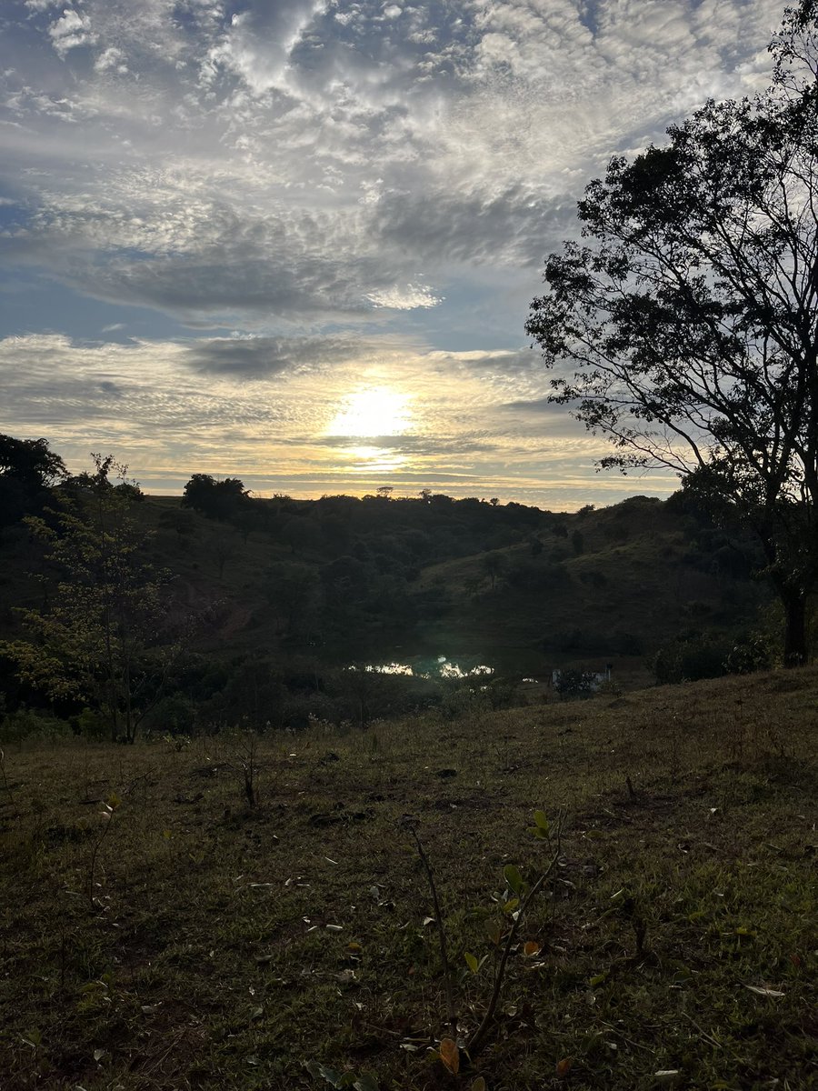 TarsoBrant's tweet photo. Bom dia bolha🙏🏽 https://t.co/c7aWbhIHIY
