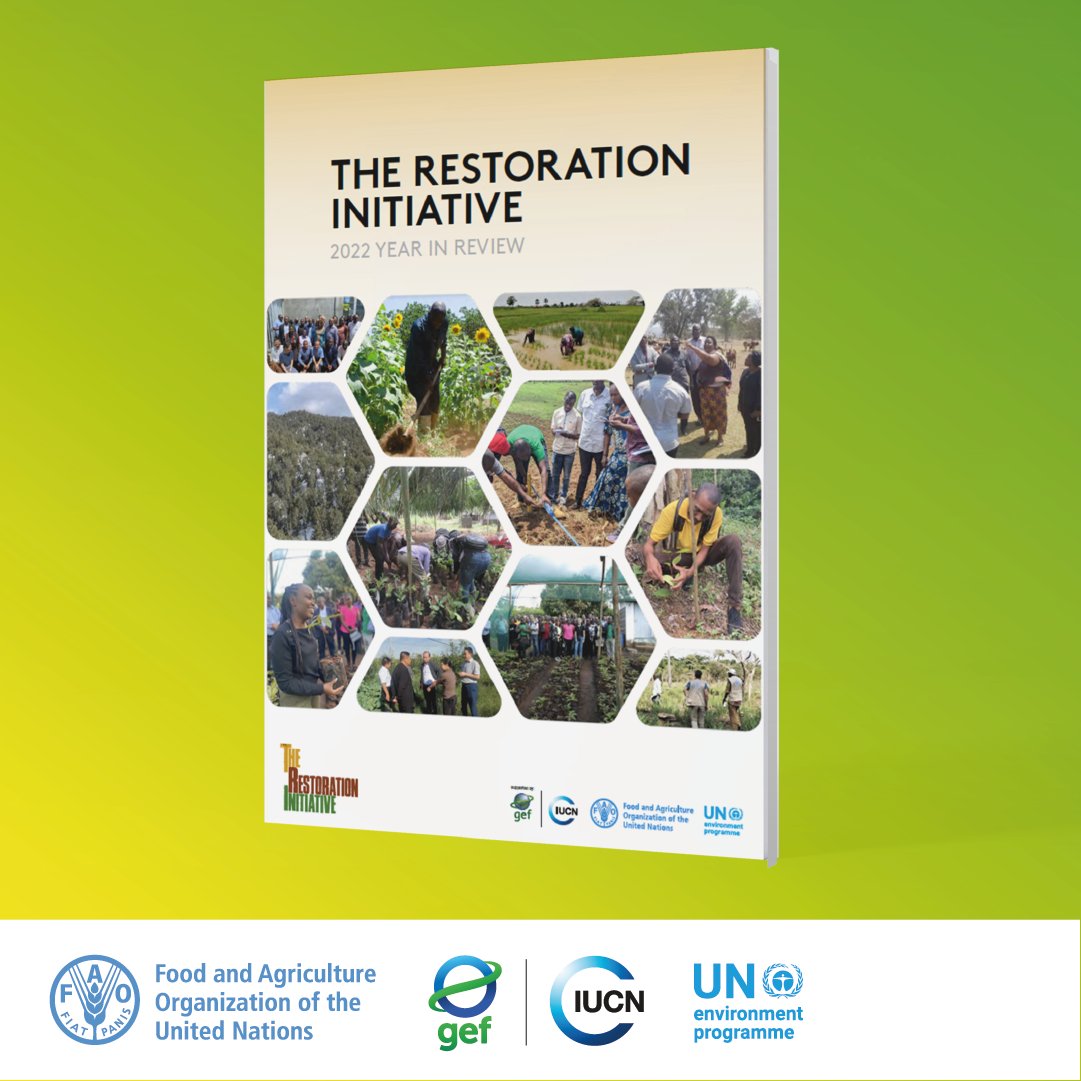IucnRwanda's tweet photo. Download a report from IUCN, FAO &amp; UNEP

The Restoration Initiative: 2022 Year in Review.
 
Read up on progress from the partnership working to restore degraded forests and landscapes, with country updates.

https://t.co/9EVV0Z46ot 

#GenerationRestoration #NatureBasedSolutions https://t.co/tRp6av0AHT
