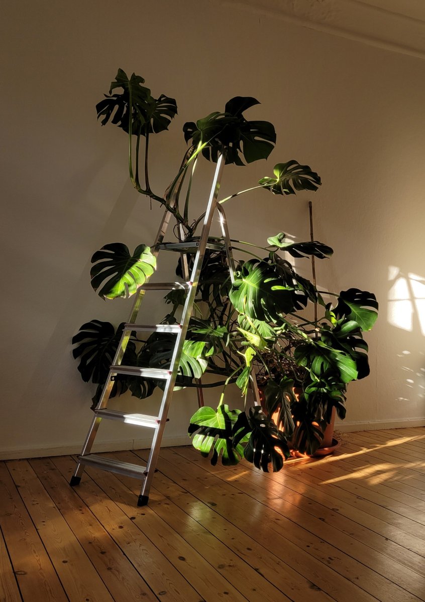 need (@neee_eeed) on Twitter photo 