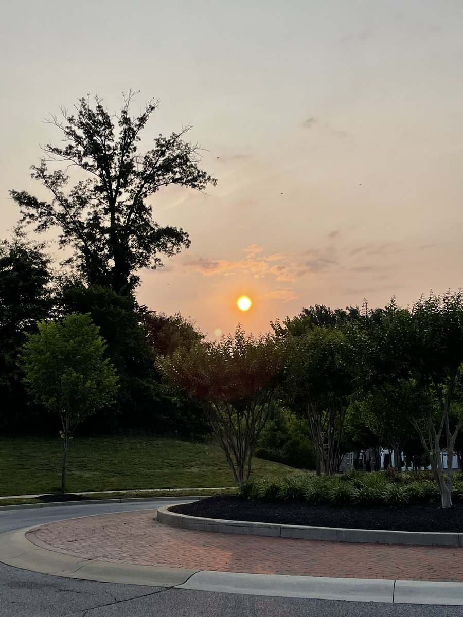 What’s better than a morning run? 🏃🏿‍♂️ 💨

How do you kick-start your day and set the tone for greatness?⚡️🌅
#MorningRunVibes #StartYourDayRight #MorningMotivation #MorningRoutine #FitnessGoals #HealthyHabits