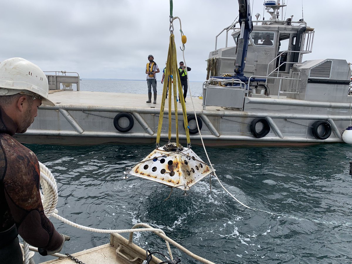 SEENEOH tidal test site tweet media