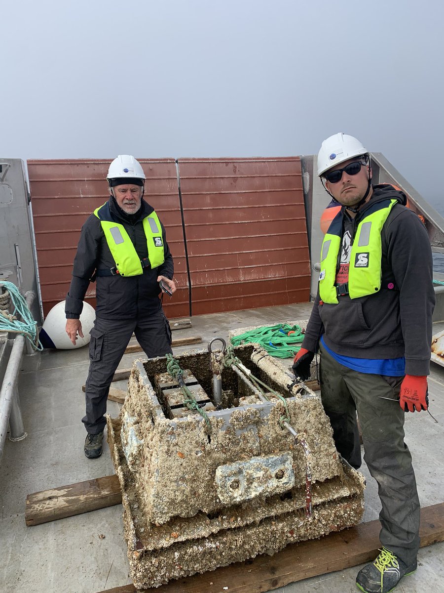 SEENEOH tidal test site tweet media