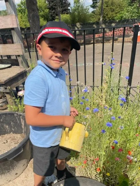HambrookSchool's tweet photo. #hambrookr have been busy looking after the beautiful wildflowers they have been growing in our outside area. https://t.co/uyAmfDidXF