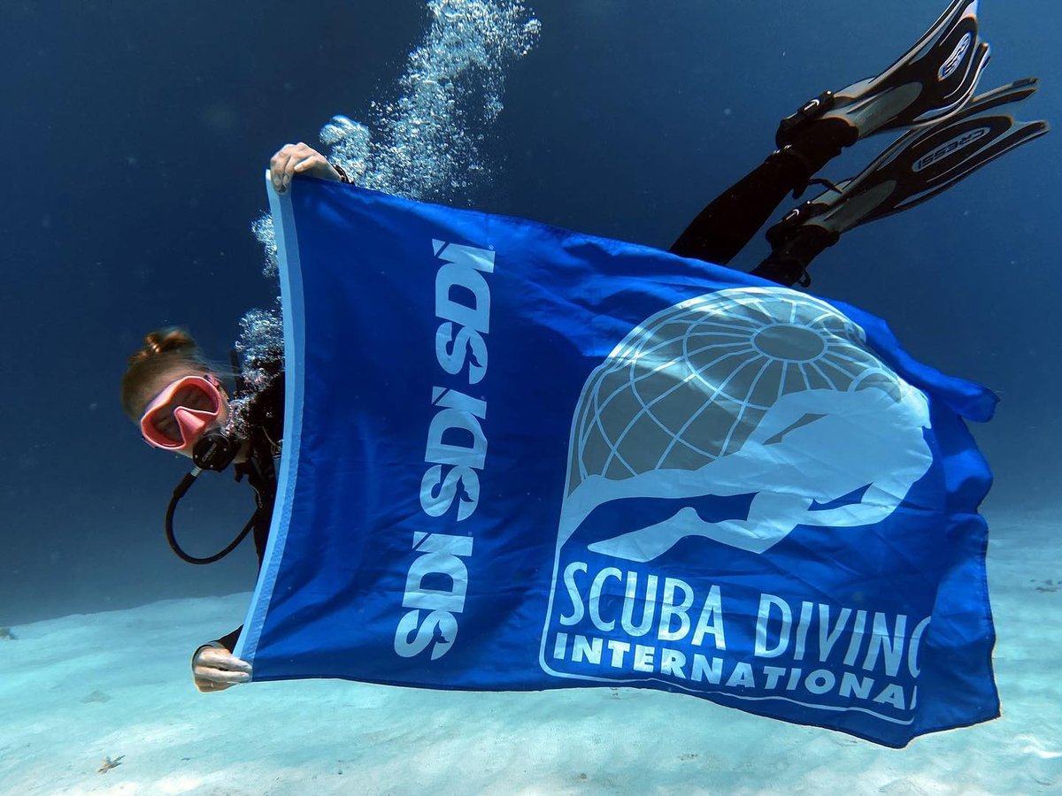 SDIdivers's tweet photo. Happy Flag Friday SDI Divers! 🏴‍☠️

This week's Flag Friday is from SDI Instructor @baukje_wassenaar diving in Bonaire! 🙌🏽💙🤿

#diveflagfriday #sdidivers #bonaire #scubadiving https://t.co/65GtF3F8dX