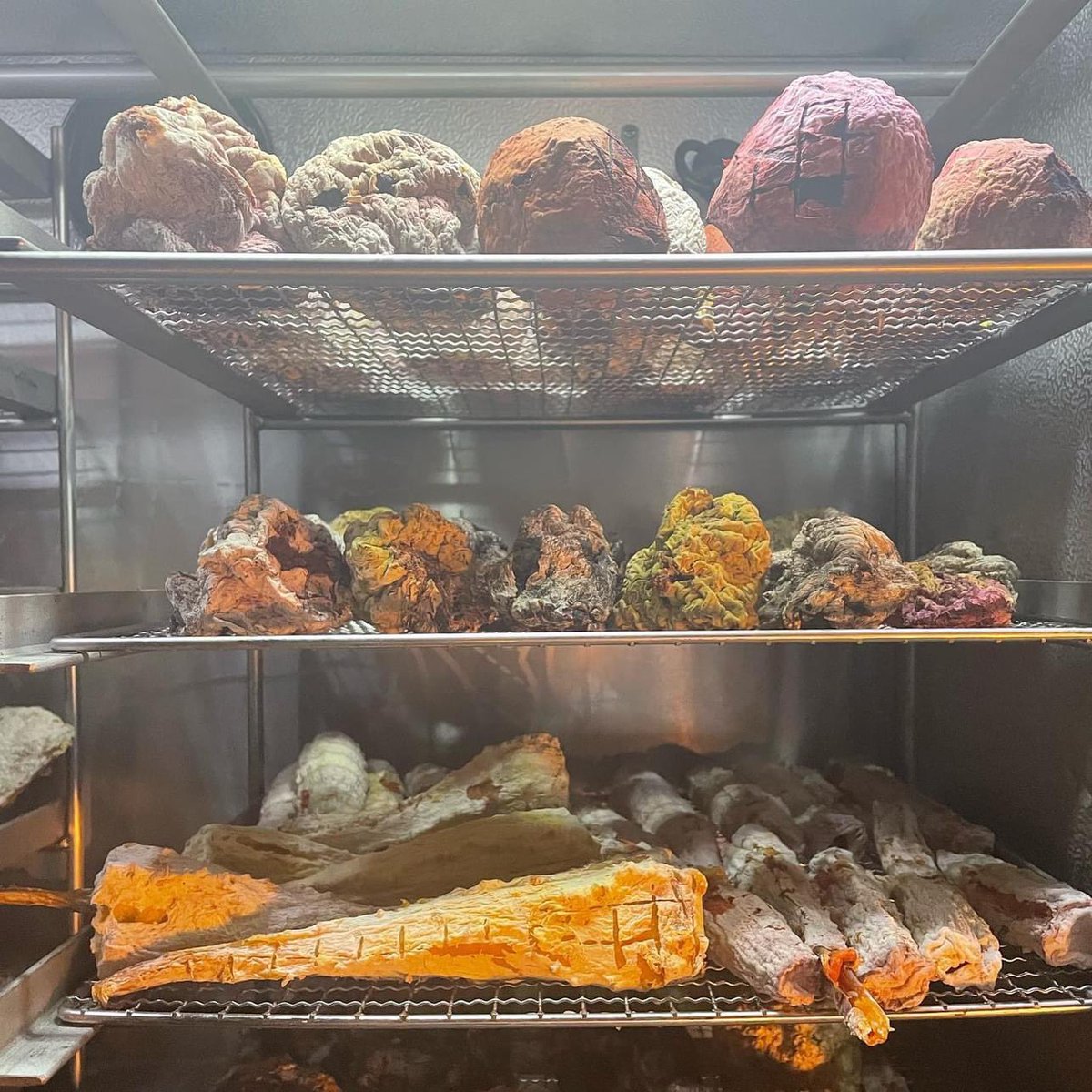 Coming soon! 
The first koji greens release. 

@kojigreens @nederlands_fermentatie_lab 
<a href="/BistroFlores/">BISTRO FLORES</a>