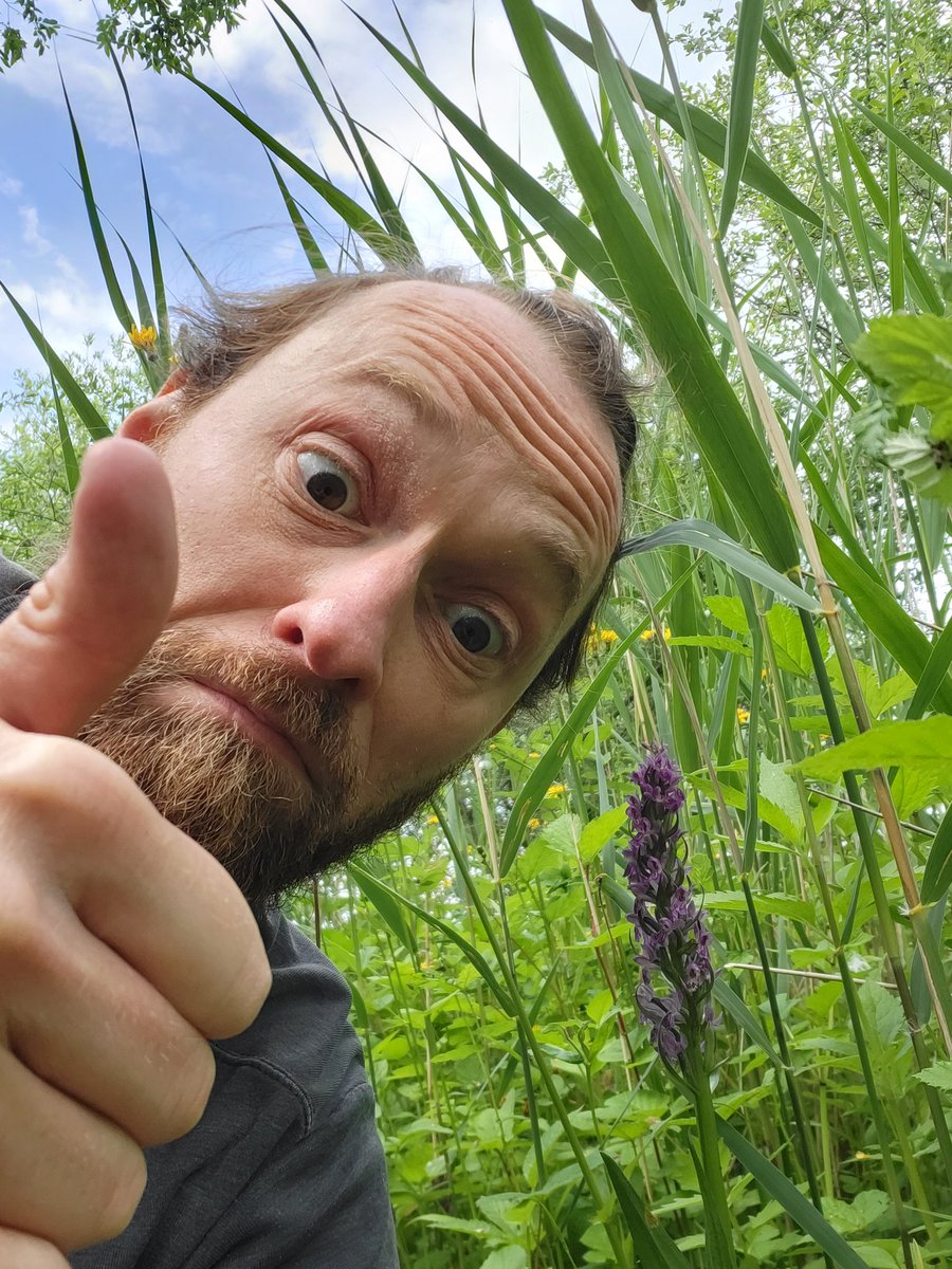 Magnus B. Nielsen tweet media