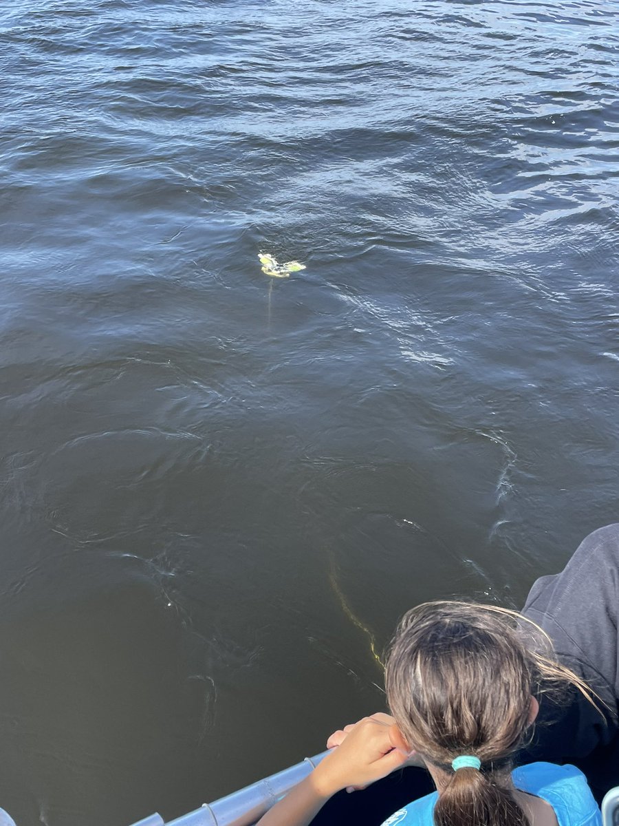MsTumiSTEMSaavy's tweet photo. Mission: Tampa Bay Days 3 &amp; 4- Continued with a unique overnight stay @floridaaquarium where the girls completed &amp; tested their ROV builds. They continued their research &amp; exploration of the causes of manatee deaths &amp; collected data using scientific tools on the boat ride! https://t.co/NfkzNv3RZC