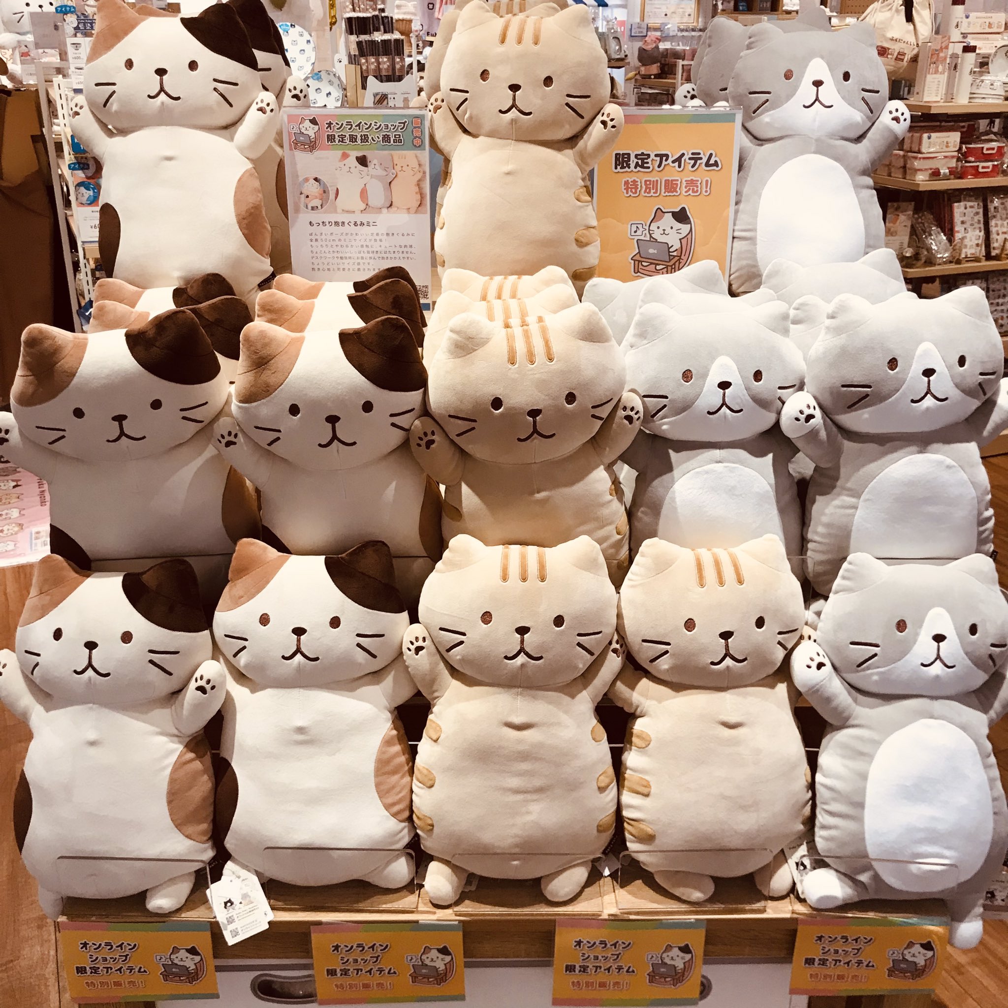 Fuku Fuku Nyanko(ふくふくにゃんこ) on X: 