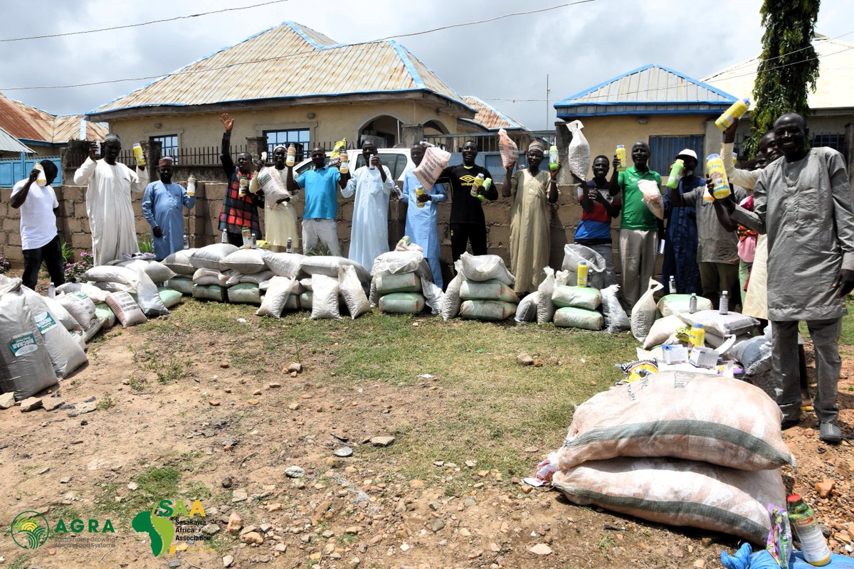 NigeriaSasakawa's tweet image. #Farminputs for the 2023 wet season for @AGRA_Africa-Niger consortium project have reached beneficiaries in Suleija LGA, where SAA-NG is setting up 19 demo plots as follows 7 upland &amp;amp; 2 Lowland Rice, 4 Maize, 5 Soybean &amp;amp; 1 Cowpea using quality inputs to serve as FLPs for GAPs.