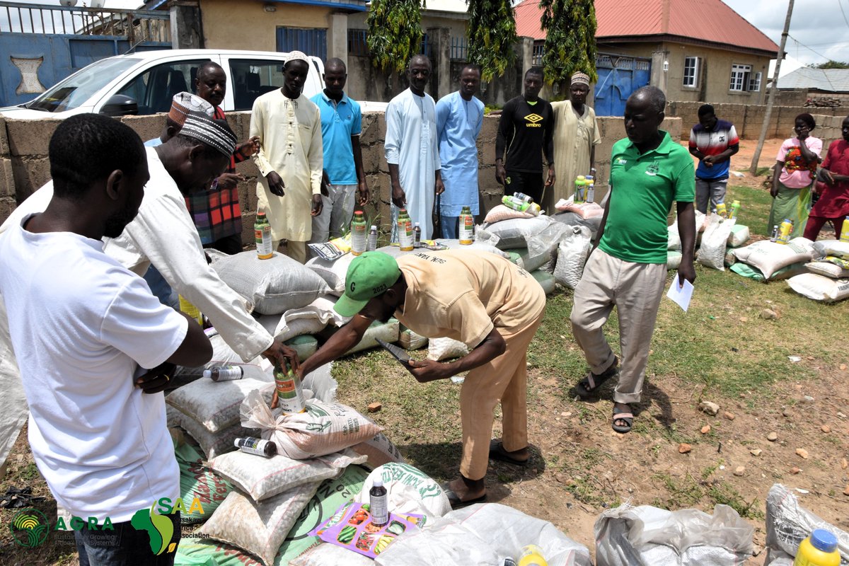 NigeriaSasakawa's tweet image. #Farminputs for the 2023 wet season for @AGRA_Africa-Niger consortium project have reached beneficiaries in Suleija LGA, where SAA-NG is setting up 19 demo plots as follows 7 upland &amp;amp; 2 Lowland Rice, 4 Maize, 5 Soybean &amp;amp; 1 Cowpea using quality inputs to serve as FLPs for GAPs.