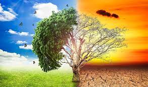 MarketTrends_'s tweet photo. Global Warming

A large number of people believe global warming is a threat to human race due to the experiences of climate change.

Do you think this situation can be salvage? Give your honest opinion

#GlobalWarming #marketresearch #ClimateEmergency #Mahmood #Reuters #Research https://t.co/pLJLCGbIz7