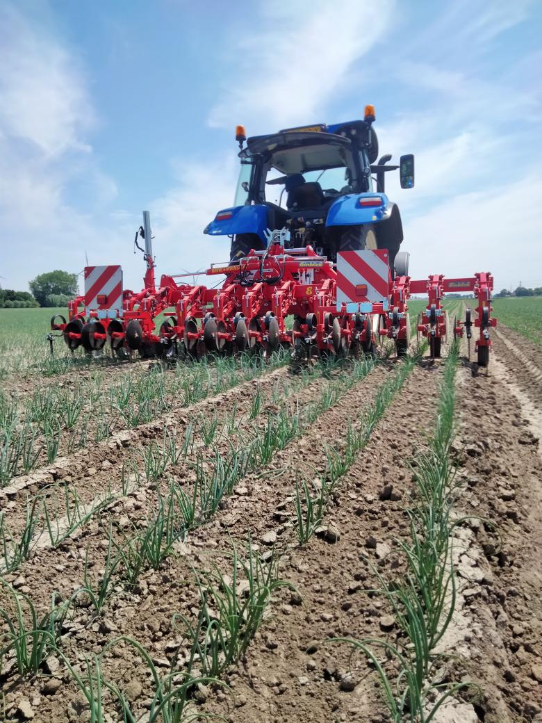 bart_dalen's tweet photo. ff de schoffel bok wisselen, de  bandjes op 1.50 spoor, en we kunnen zo door in de uien !💪🥳 https://t.co/HYZzxIZ91s