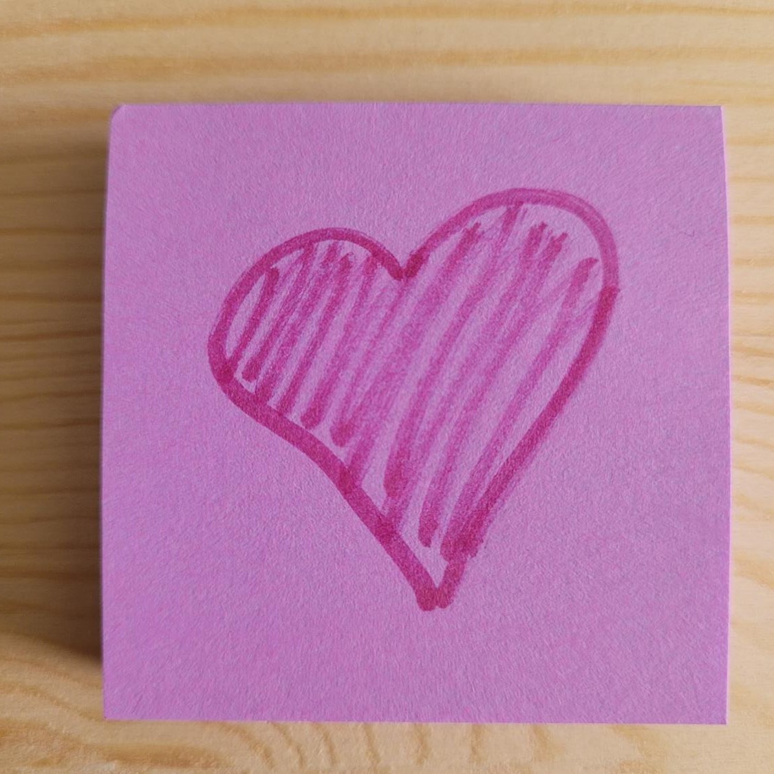 Anne Heberger Marino (she, her, they) tweet media