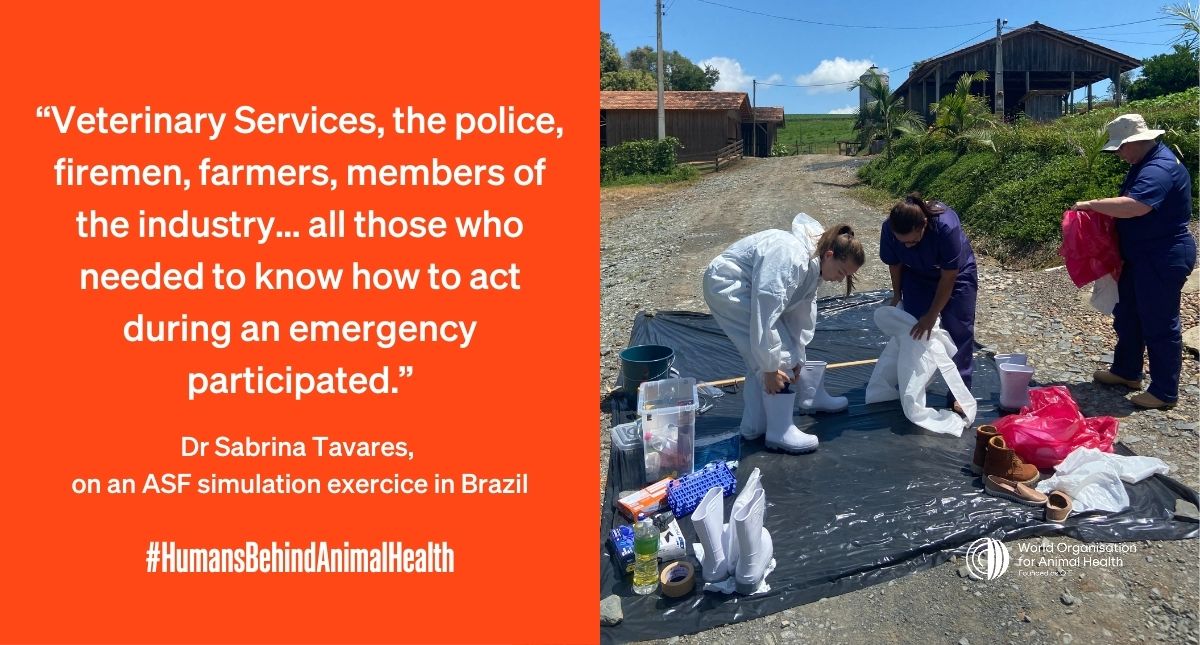 WOAH's tweet photo. 87% of our Members have a contingency plan for at least one disease, but only 45% of them reported having conducted a simulation exercise.
Learn how simulation exercises support emergency preparedness in the veterinary workforce: https://t.co/tGavY3mAYM
#HumansBehindAnimalHealth https://t.co/BEcsvDg77g