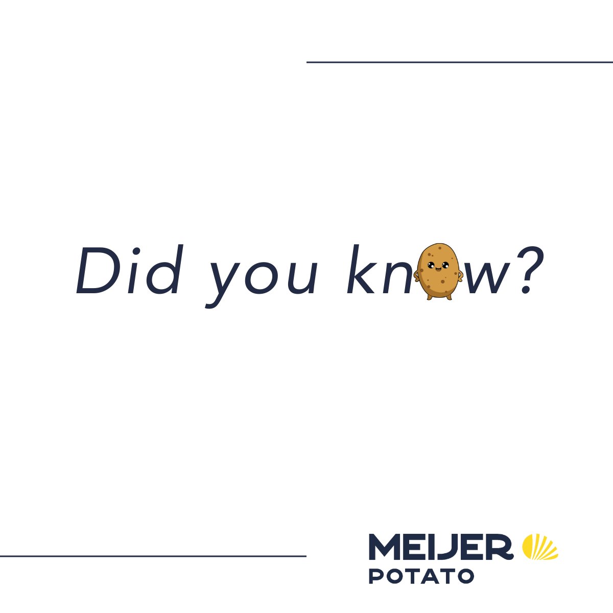 MeijerPotato's tweet photo. Keep it cool! Did you know that a raw potato can provide relief from sunburn? It soothes the pain and reduces redness, because of the starch. Apply thin slices on the sunburned skin or cut a potato in half and gently rub the skin. #buildingonpotential #meijerpotato #potatohack https://t.co/a3z6kG3hRO