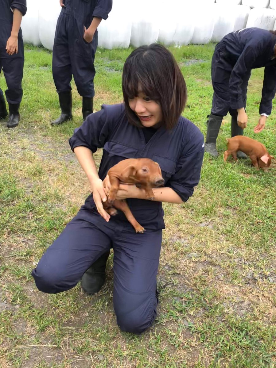 東京大学農学部獣医学課程獣医学専修