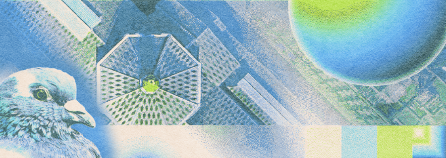 lalaberinta tweet media