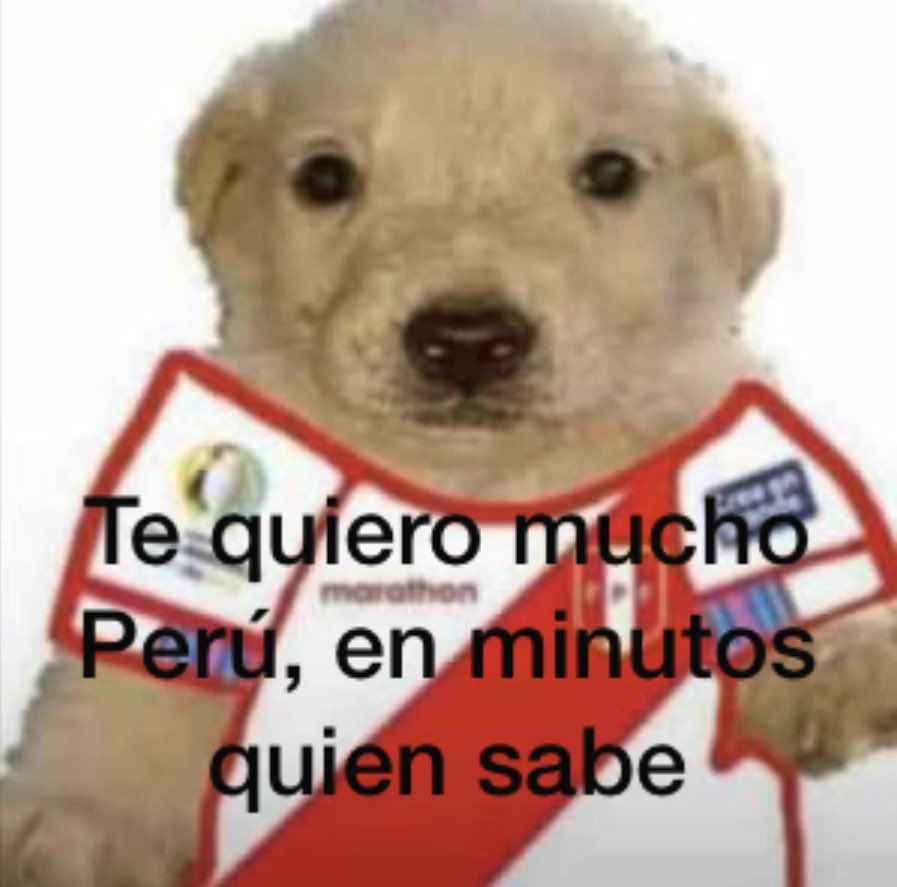 WGTP_2018's tweet photo. HOY MÁS PERUANA QUE LA ESCARAPELA
Mañana queriendo nacer en Corea.
#Peru #peruvscorea #Amistoso @SeleccionPeru https://t.co/DvaknF6yzL