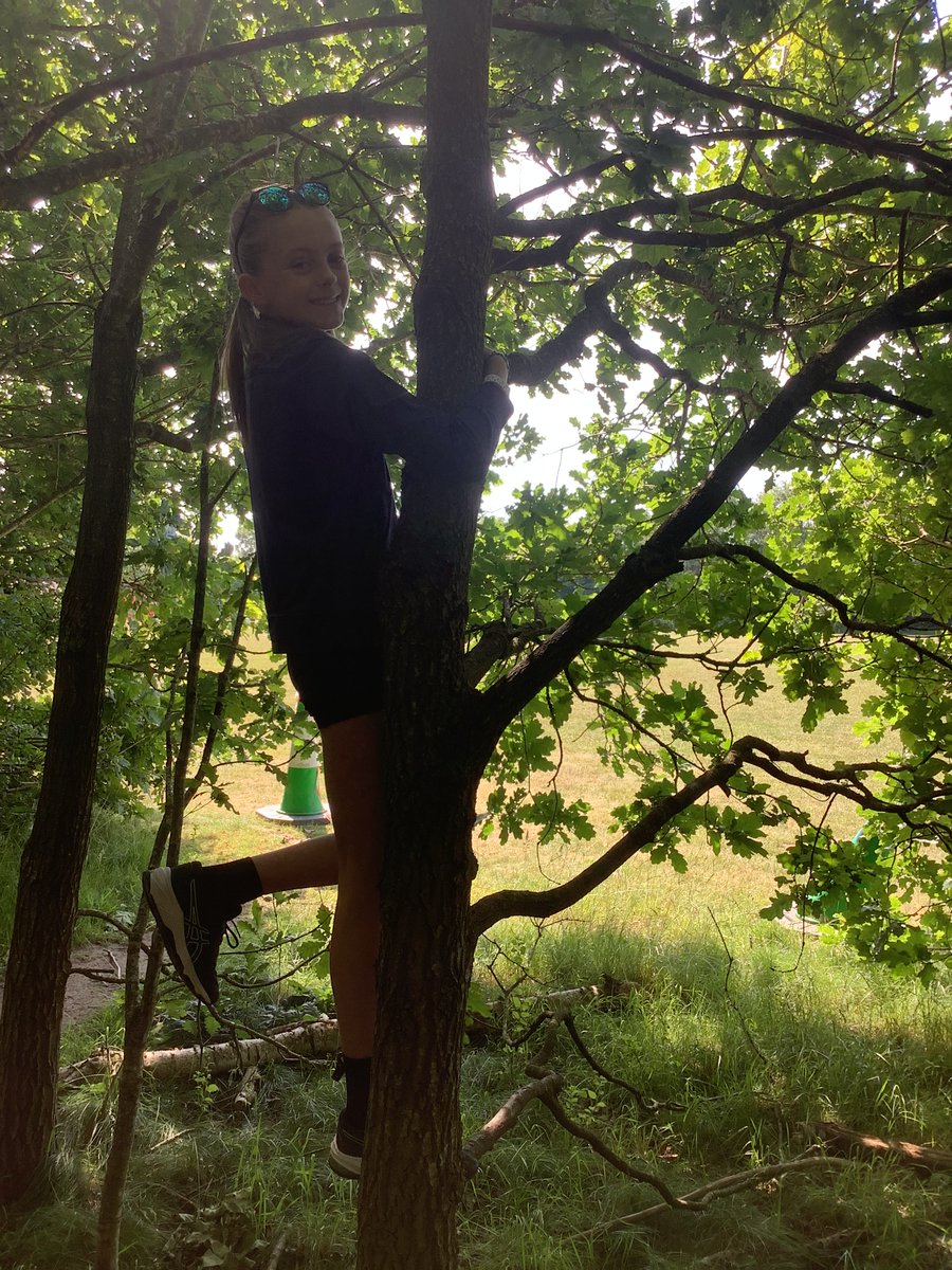 stphilips6yc23's tweet photo. On Wednesday we completed our first forest school session. The morning was filled with tree climbing licences, bracelet and den making and completing a marble run. We had such a great time and already can’t wait for next week! https://t.co/RWSwo8jYlA