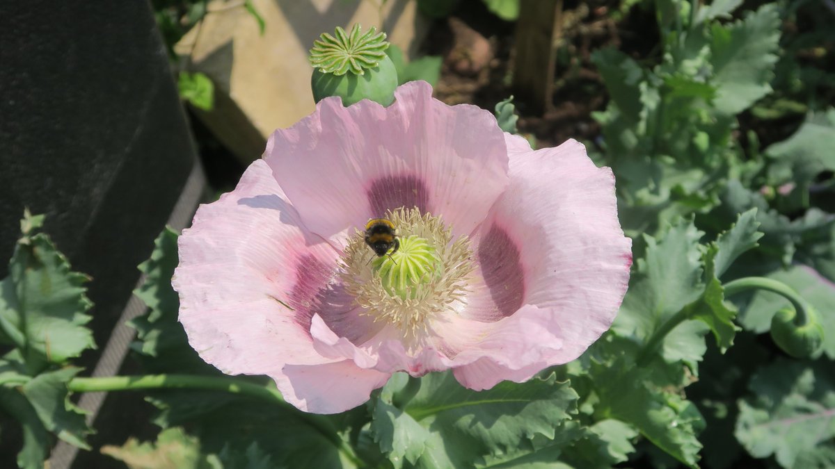 Nigel Walsh tweet media