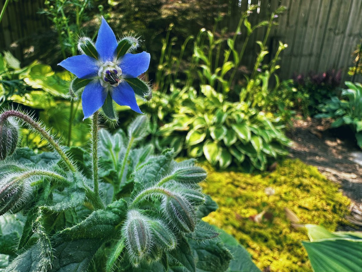 🚰 A new utilities commission, Juneteenth, and a day off - mailchi.mp/gmrva/good-mor…