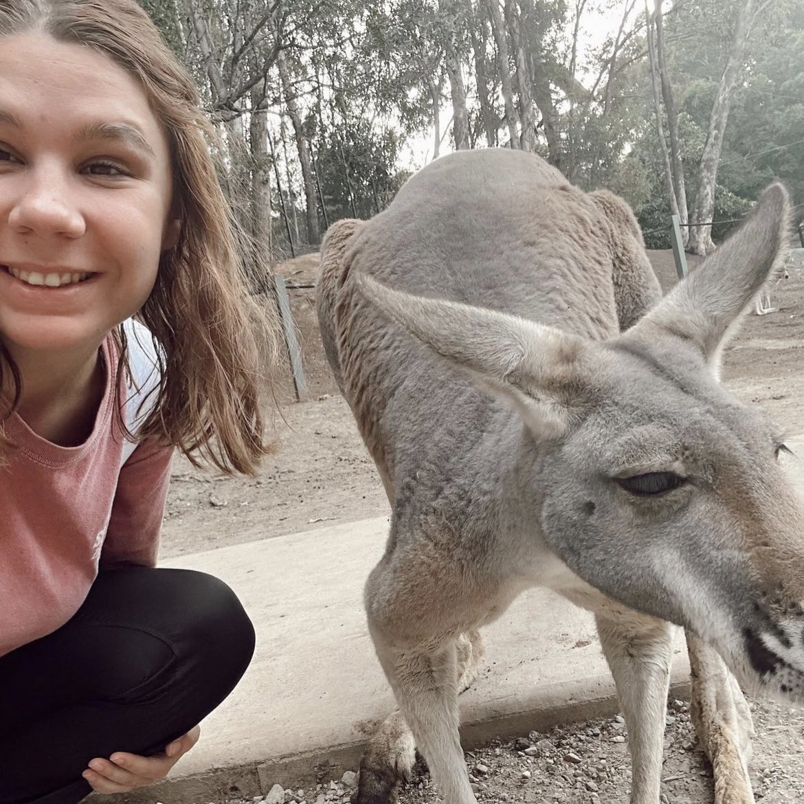SkyhawkAggie's tweet photo. Down under! Veterinary Science & Technology major, Ali Johnson, is in Australia interning at Currumbin Wildlife Hospital. #SkyhawkSummer #ClassroomEarth #HighImpactLearning https://t.co/nfBJE2S4T3