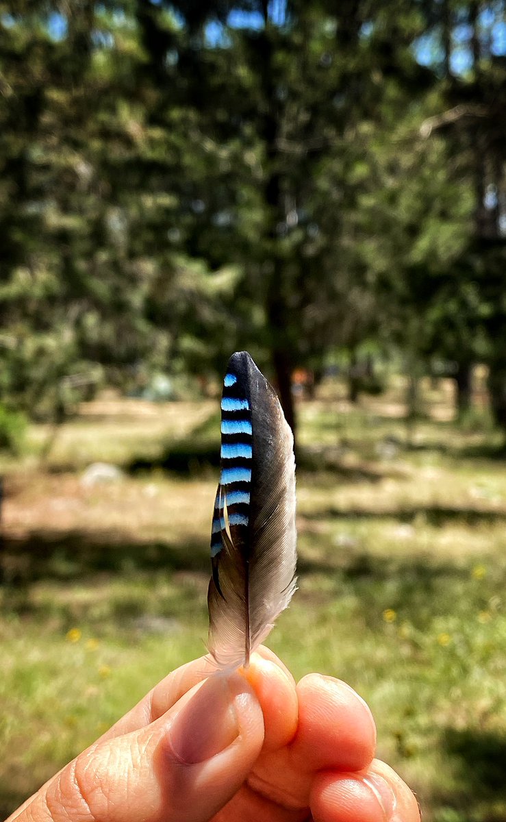 ♻️Artık benimle yola devam edecek.