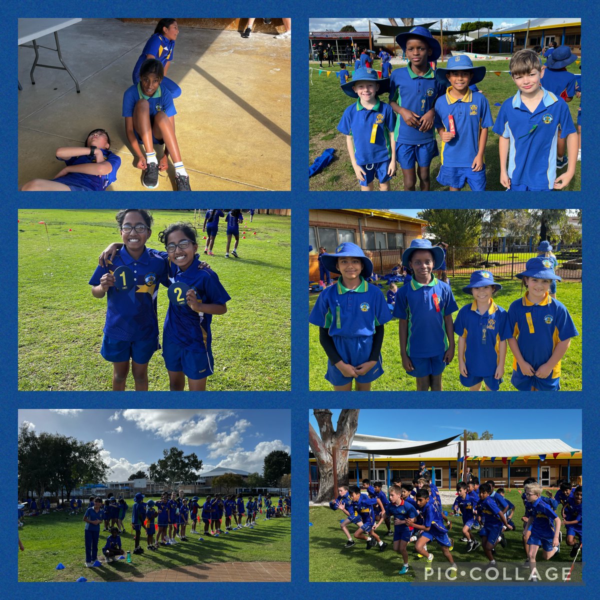 StJosephsQPWA's tweet photo. A fabulous day for cross country! @StJosephsQPWA https://t.co/6sHfWKOFUt