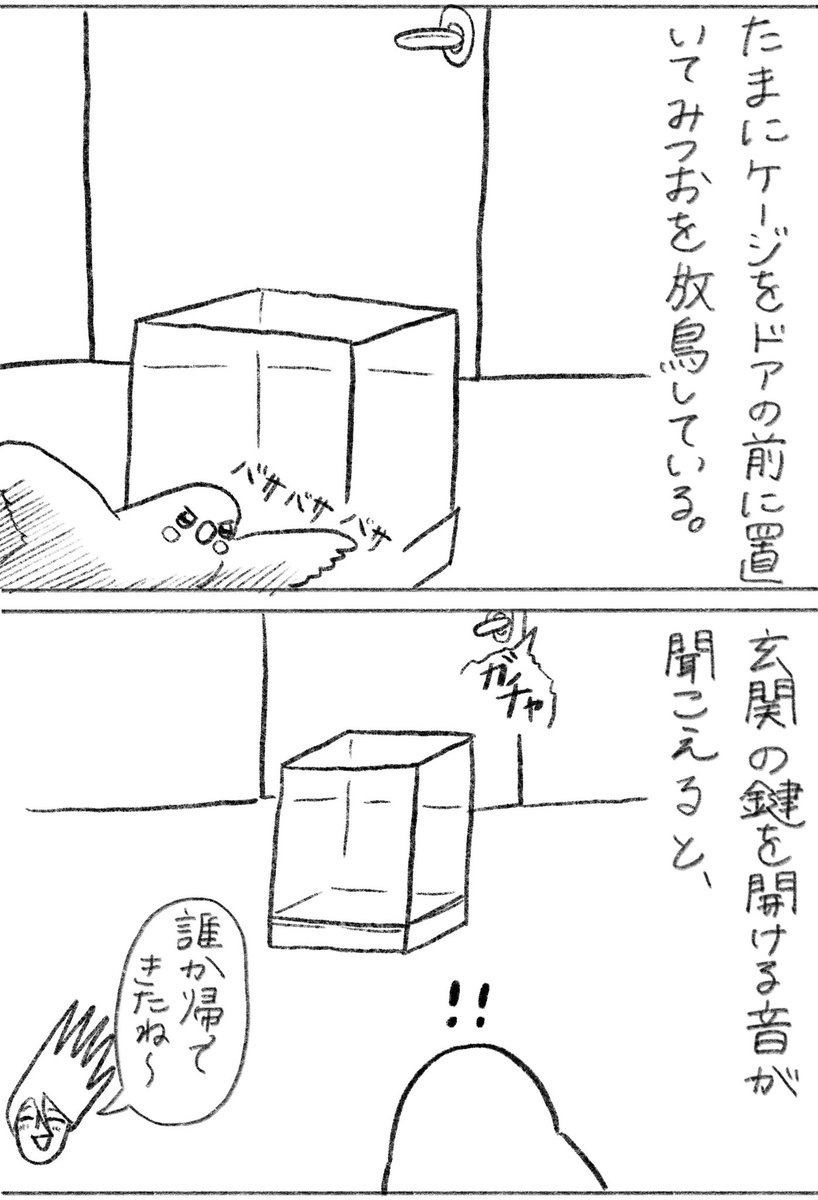 みっちゃんのおかげで平和な毎日です。  ブログで未公開の100話分くらい絵日記読めます⬇︎ 