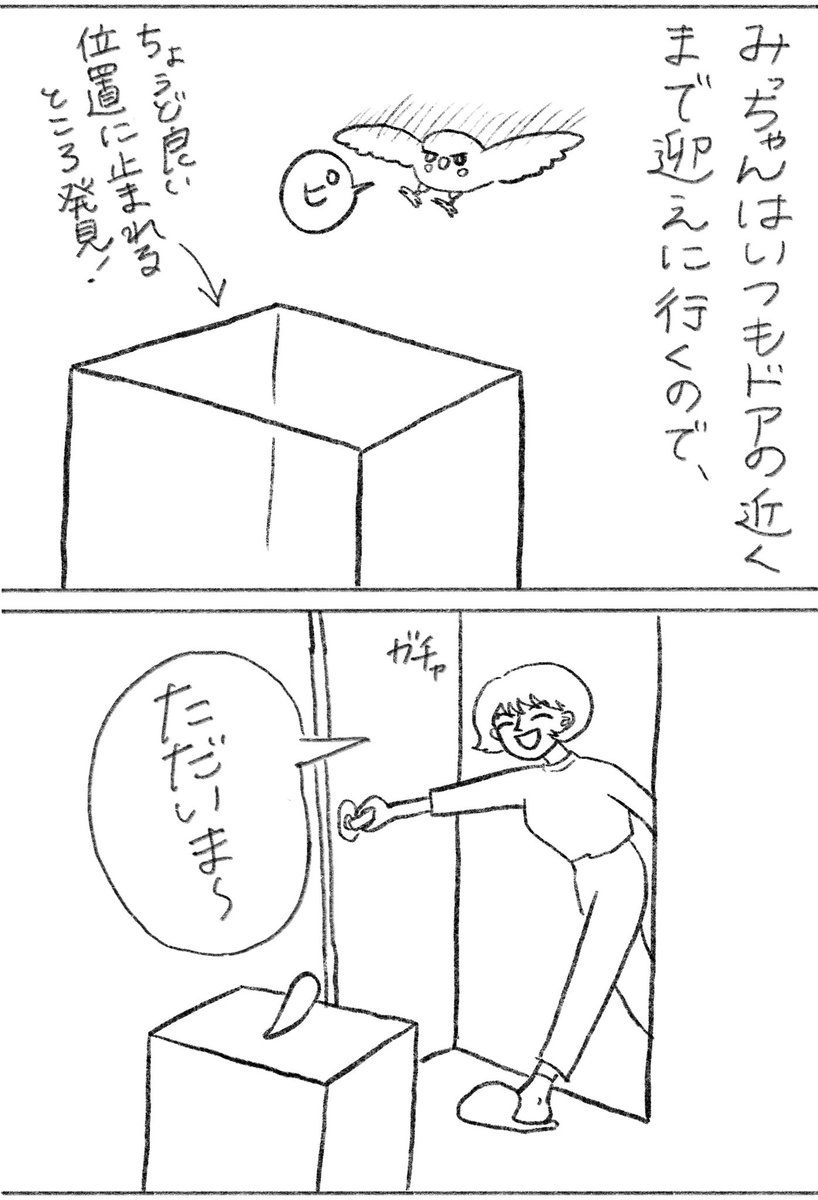 みっちゃんのおかげで平和な毎日です。  ブログで未公開の100話分くらい絵日記読めます⬇︎ 