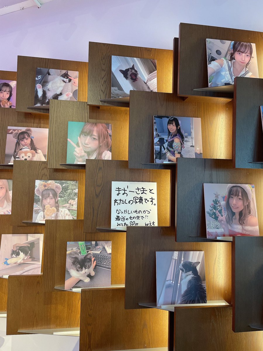 shinpeiSSR's tweet photo. この間の生誕祭で飾っていた新兵えすの特別パネル、プレゼントキャンペーンやっちゃいます🥹！
しかもなんと私の直筆サイン入り✒️🐸

■応募条件
① @shinpeiSSR をフォロー
②この投稿をRT
③この投稿のツリーにある応募フォームから当選希望のパネルを選んでね！

■締め切り
6/25(日) 20:00 https://t.co/m5QagMzabV