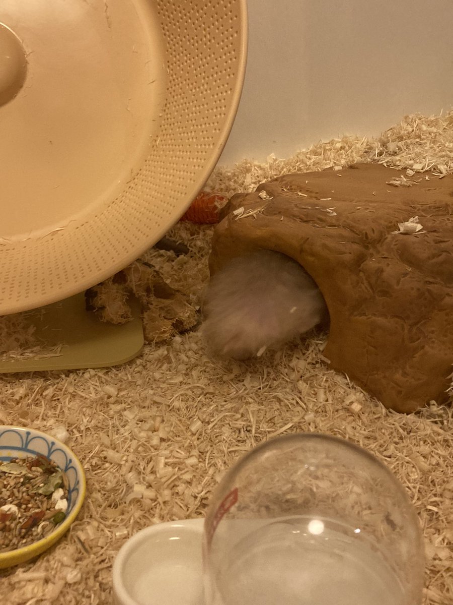 귀여운 근황, 곧 2살을 맞이하는 공주님 🎀