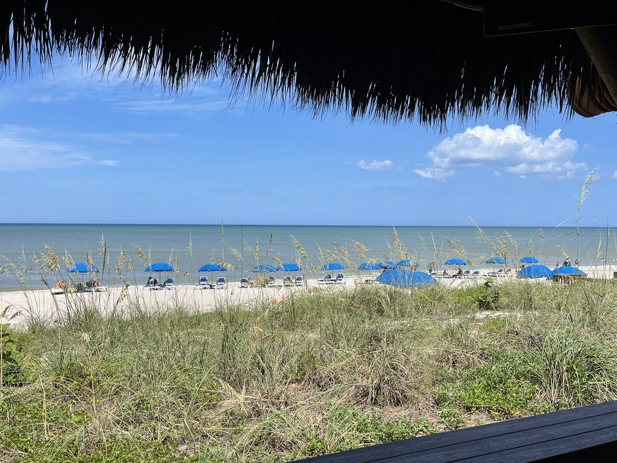 Had an awesome time at the FASEB Endoplasmic Reticulum Conference: Structure, Function and Disease meeting in Florida. So great to see everyone! Thanks for organizing @Guillou76 and Carolyn Sevier! 👏 @FASEBorg #ERSRC