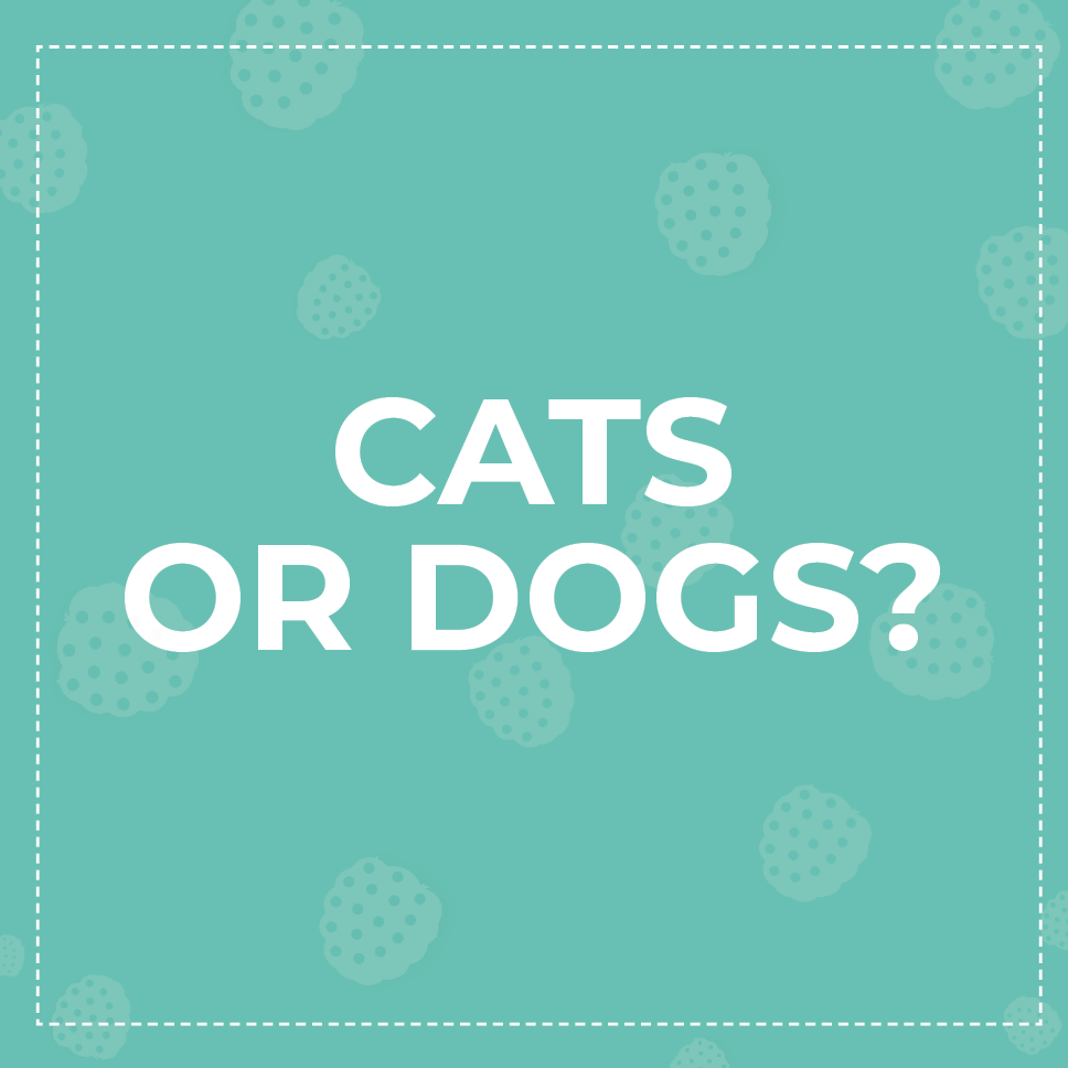 MulberryBushToy's tweet photo. Which options did you pick? 

Comment down below!

https://t.co/p5XN6Oeor2 https://t.co/fttOZ7ij4z