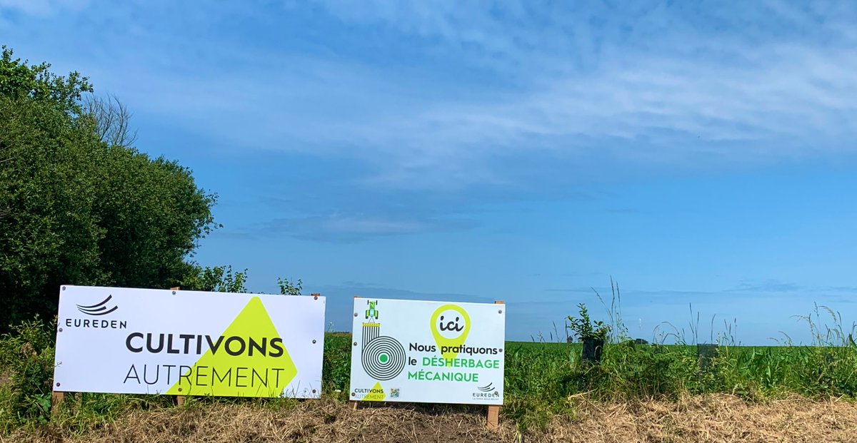 maxime_dano's tweet photo. Suivi des essais sur toute la Bretagne par @EuredenGroup visant à réduire l’utilisation des #herbicides en #maïs 🌽 https://t.co/kPhfYpzyZ8