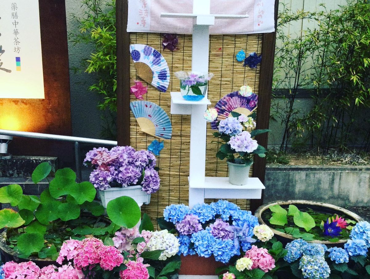 amabikitemple's tweet photo. 💠あじさい祭り開催中💠
Picは6/15の夕方のものです。
週末も暑くなりそうですね☀️
お気をつけてお参りください🙏
池にあじさいを浮かべる
💠水中華💠は6/24から。ライトアップも6/24から始まります
#雨引観音 #あじさい祭り#水中華#アジサイ#紫陽花#あじさい寺#あじさい#雨引山楽法寺#坂東三十三観音 https://t.co/GAhZcvZFtG