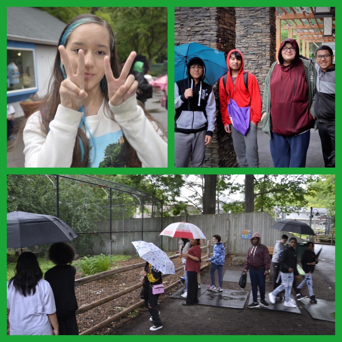 The weather couldn’t spoil a trip to the zoo for our upper school students! 🦅 ☔️ 🐘 @RCSDNYS  #onercsd