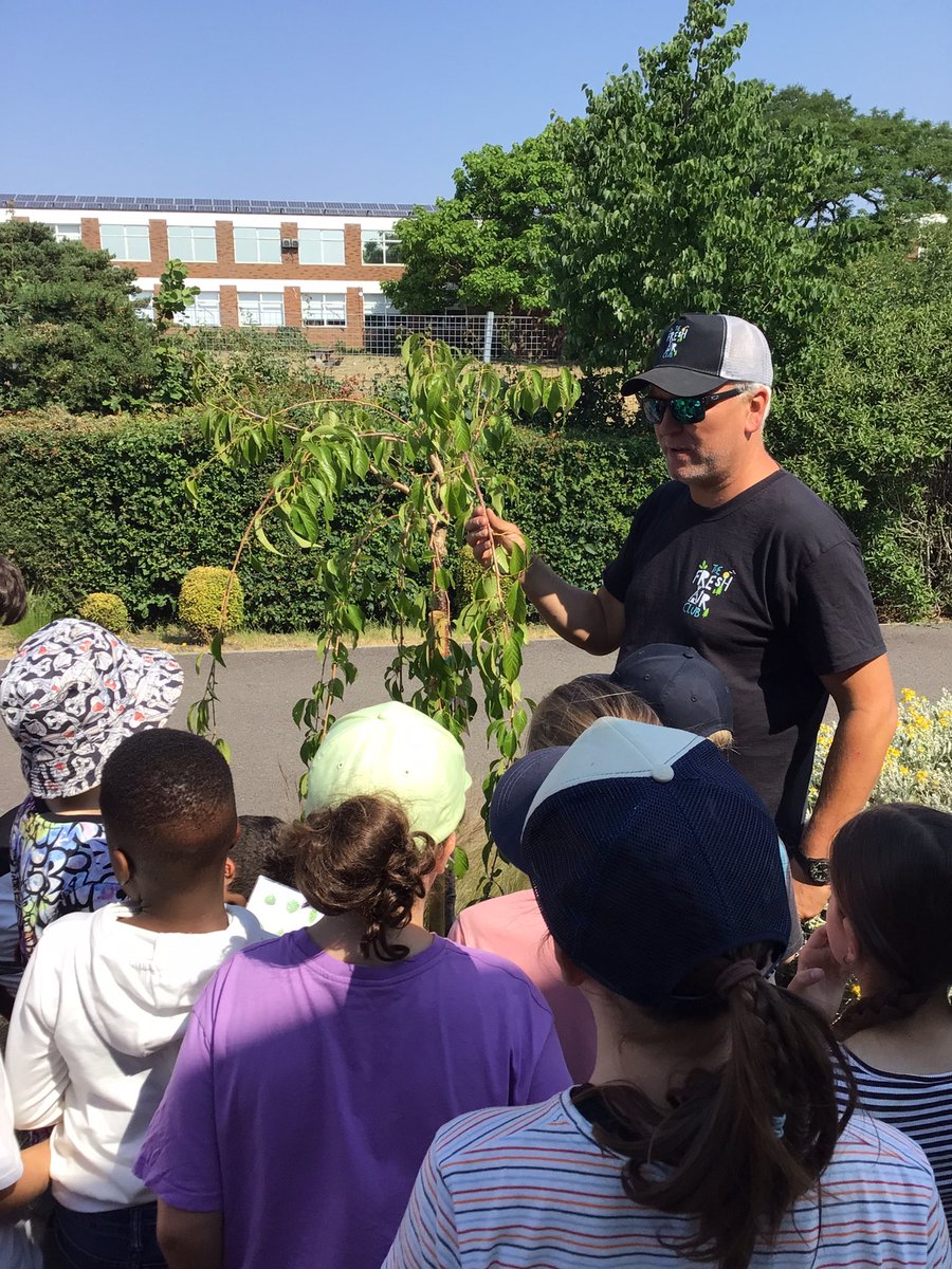 Year 6 have been identifying the types of trees we have at Avonwood- we spotted some birch, beech and cherry trees! 🌲🌳
